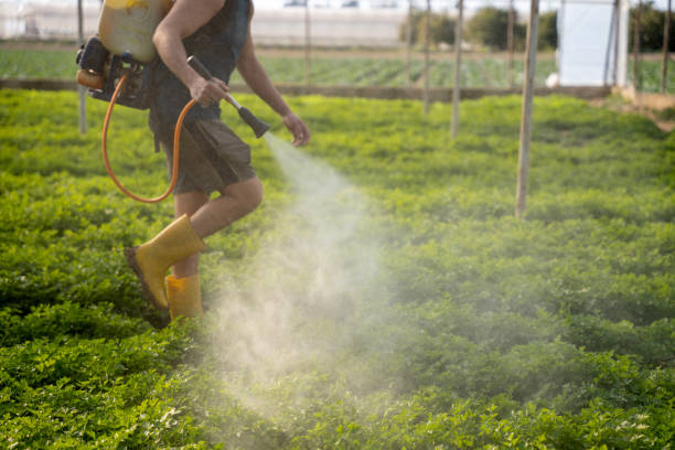 Best Mosquito Control Services  in Rensselaer, IN