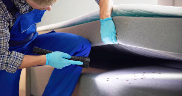 Best Affordable Pest Control Services  in Rensselaer, IN