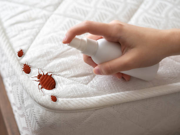 Best Best Pest Control Companies  in Rensselaer, IN