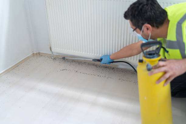 Best Pest Control for Restaurants  in Rensselaer, IN
