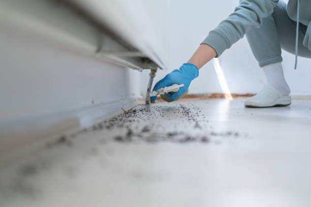 Best Residential Pest Control  in Rensselaer, IN